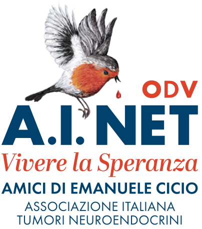 A.I.NET